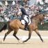 Rolex KY 3-Day Event